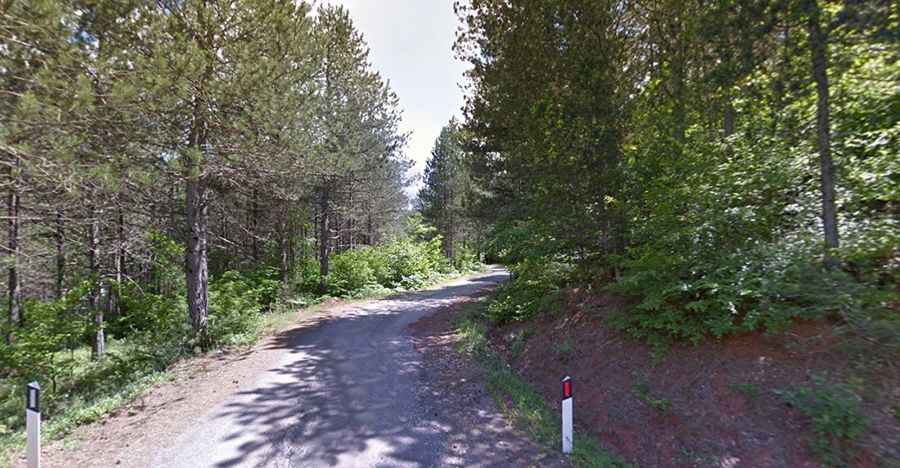 How long is the SH75 road?