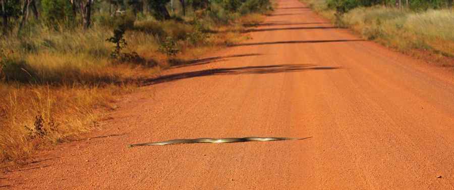 How to get by car to Lajamanu in the Northern Territory?