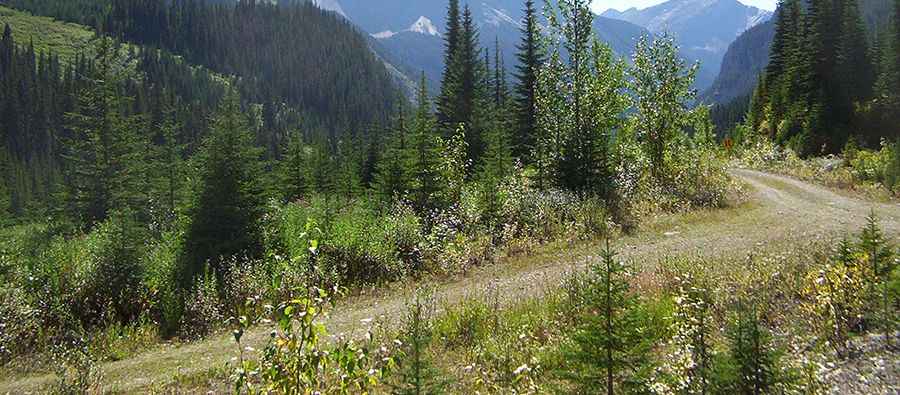 How to get by car to Leman Lake in Banff National Park?