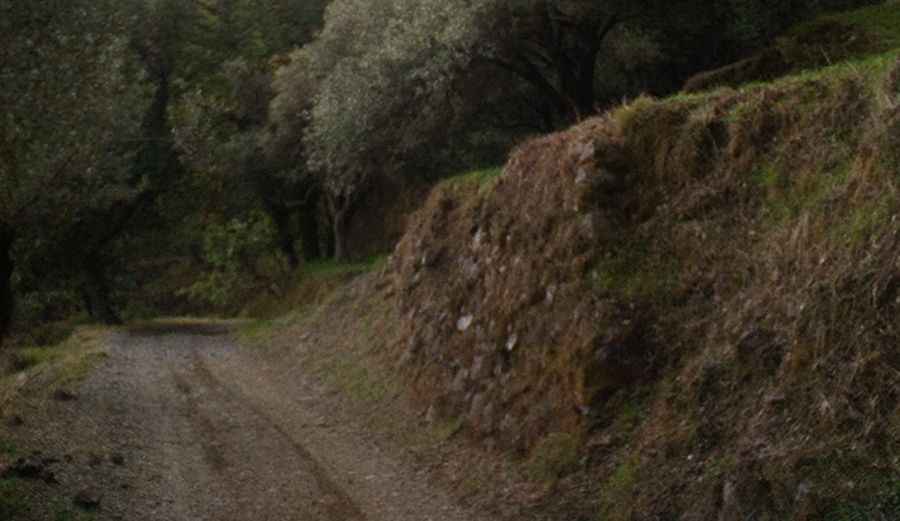 How to get by car to the scenic Castello Belvedere in Sicily?