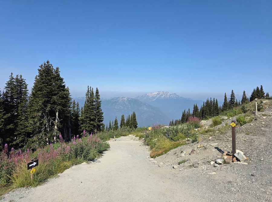 How to get by car to the summit of Blackcomb Mountain in BC?