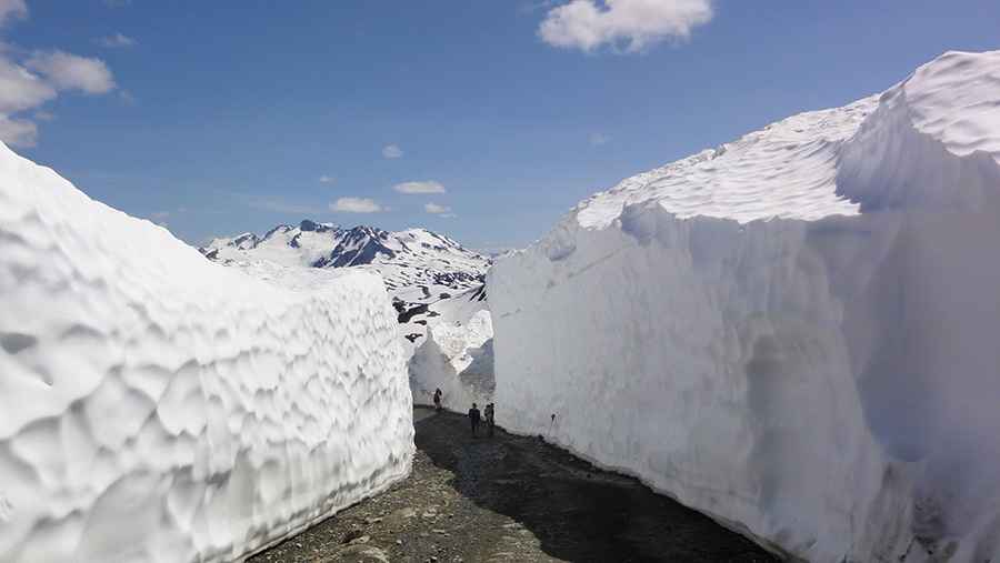 How to get by car to the summit of Piccolo Summit in BC?