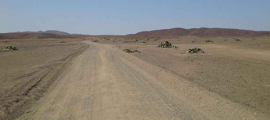 How to get to Messum Crater by car?