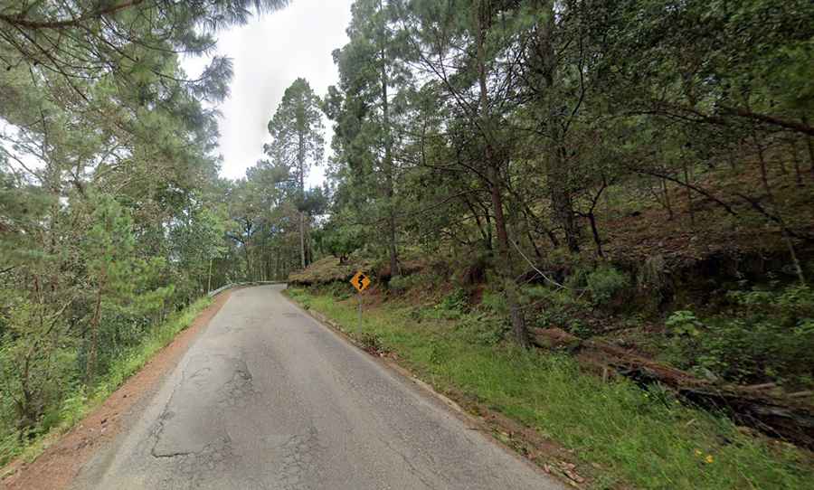 How to get to San José del Pacífico by car, the paradise of hallucinogenic mushrooms?