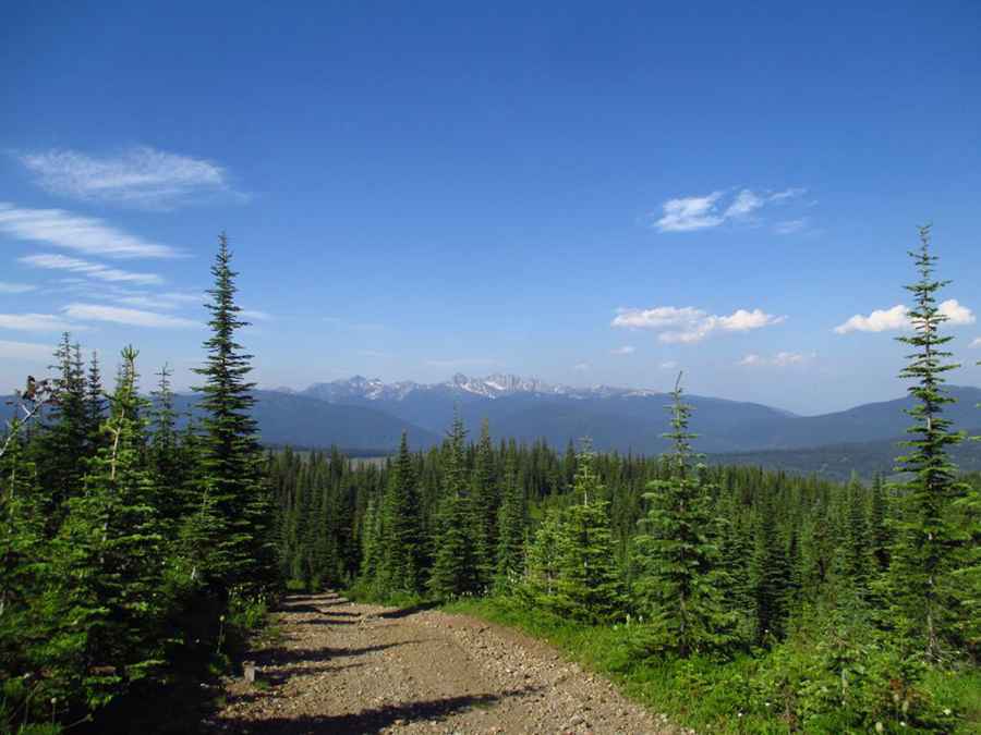 How to Get to the Lookout at Eureka Mountain by Car