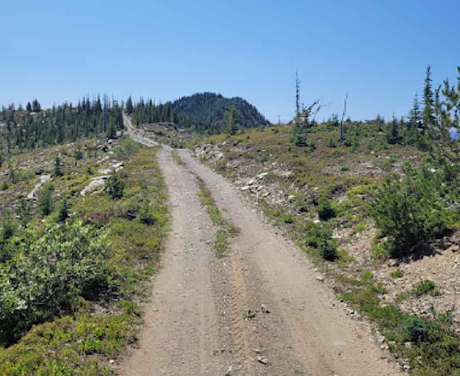 How to Get to the Lookout at Mount Lavina by Car?