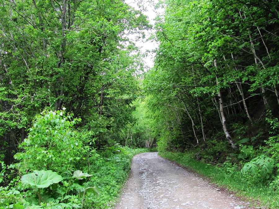 How to Have the Ultimate Road Trip to Pereval Chekhovskiy?