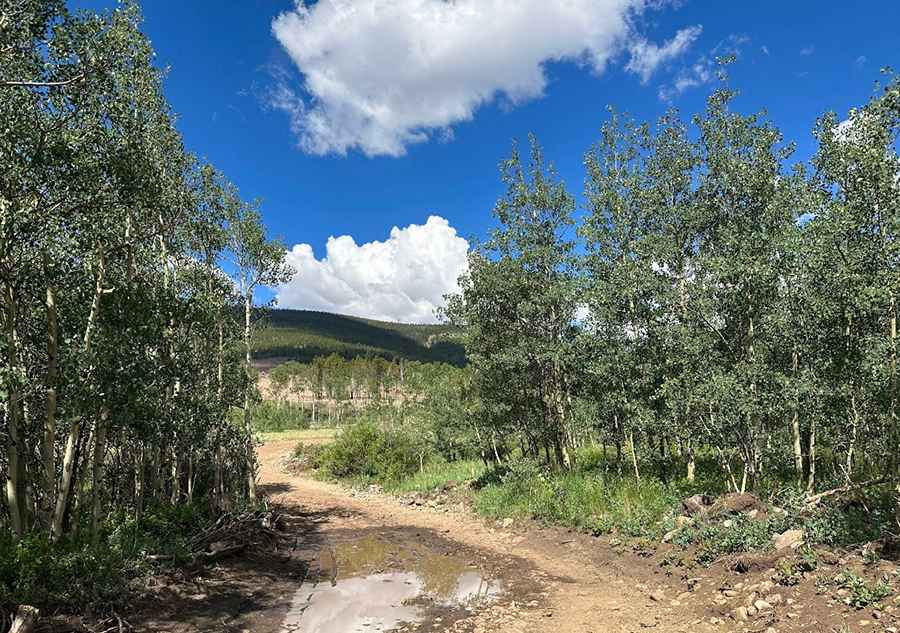 How to reach the Sheep Ridge summit track?