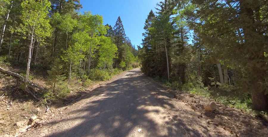 How To Travel The Utah Forest Road 17