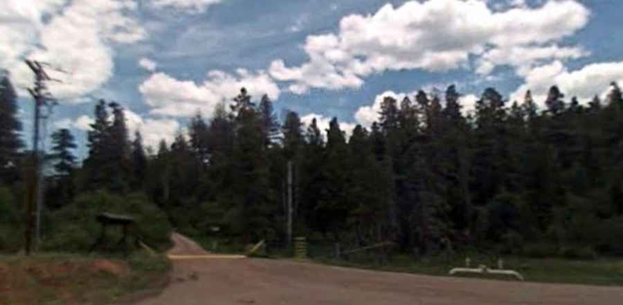 Is Forest Road 98 to Blue Bird Mesa in New Mexico unpaved?