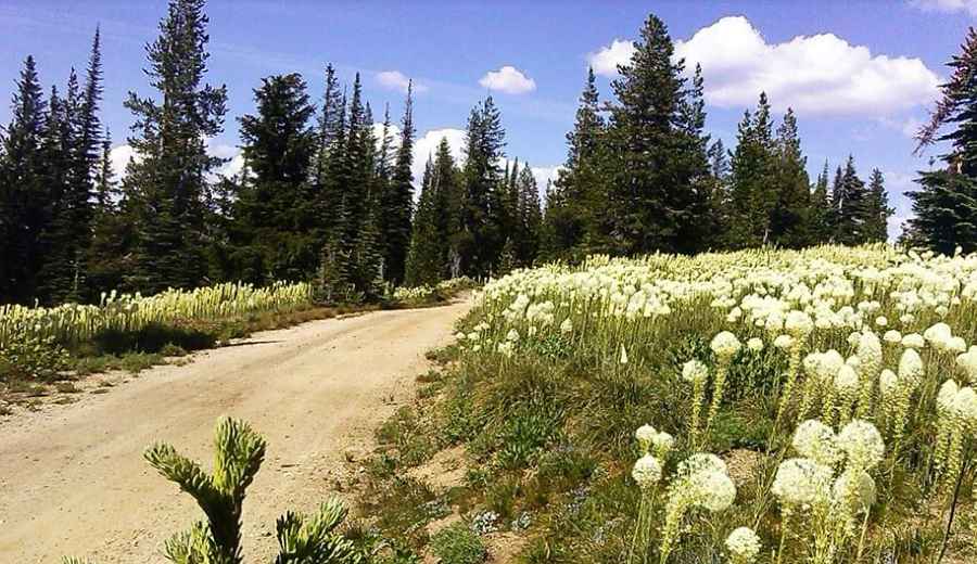Is Lolo Motorway in ID unpaved?