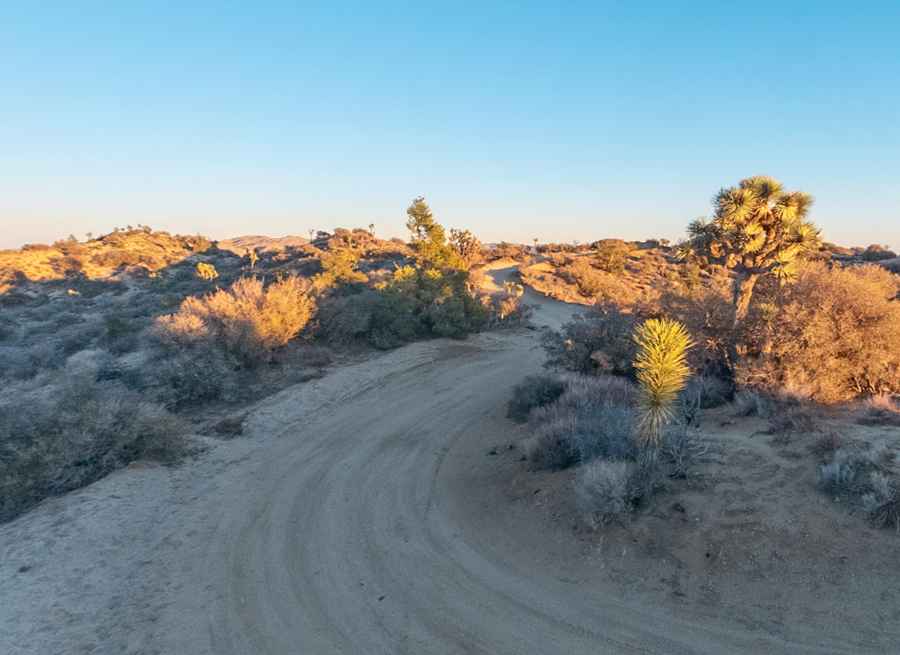 Is the Eureka Peak Road in Joshua Tree National Park unpaved?