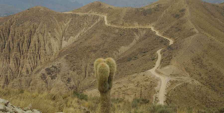 Is the Road from Tupiza to Quiriza Unpaved?