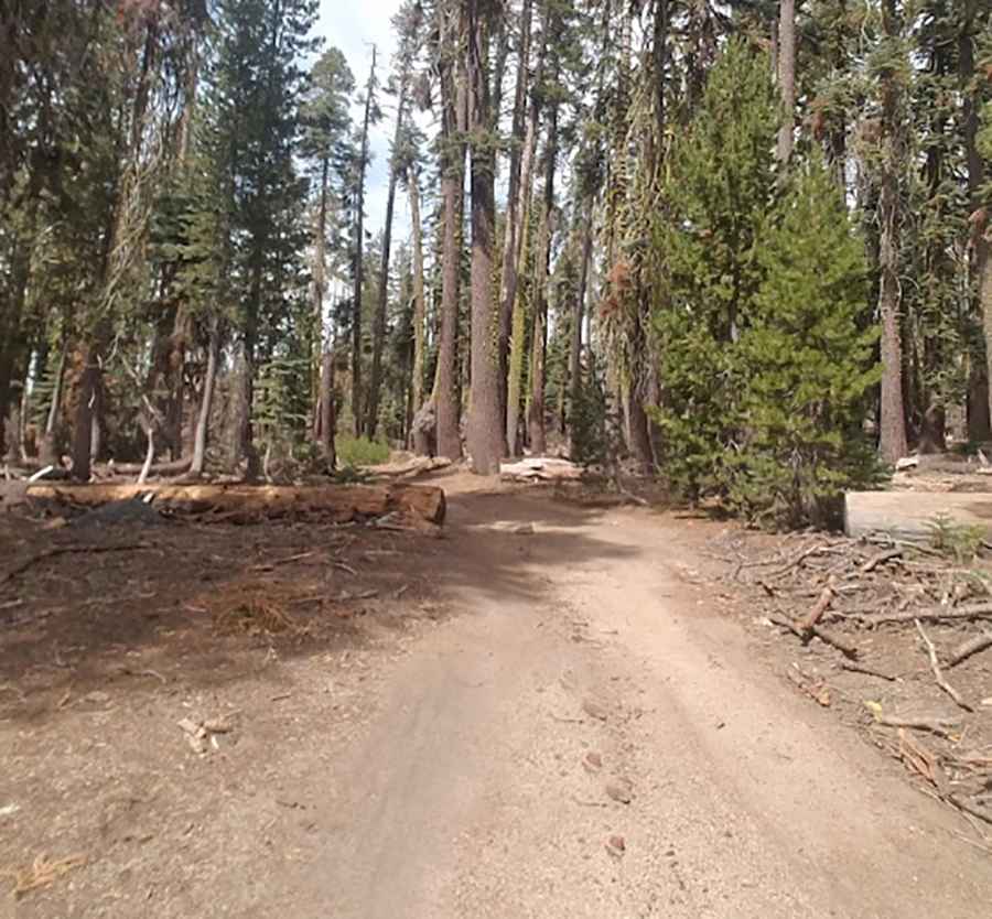 Is the road to Cold Springs Summit paved?