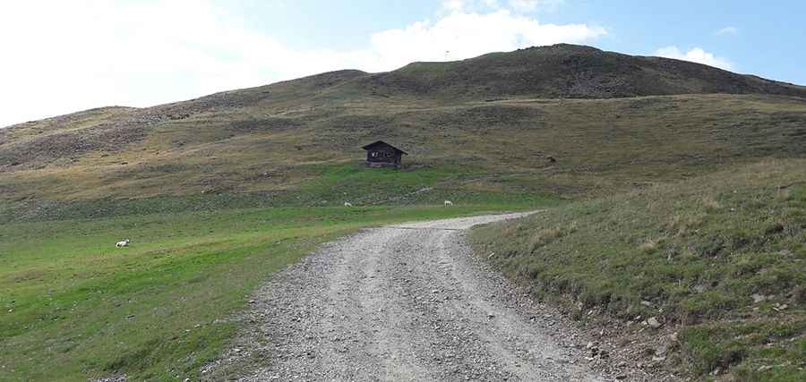 Is the road to Forcella Luson unpaved?