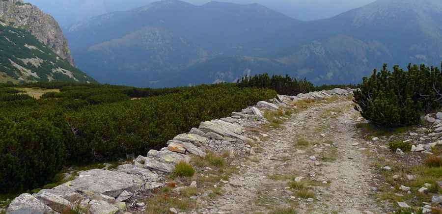 Is the Road to Goljam Medarnik Unpaved?