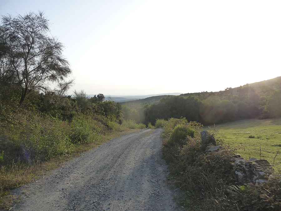 Is the road to Monte Farelo paved?