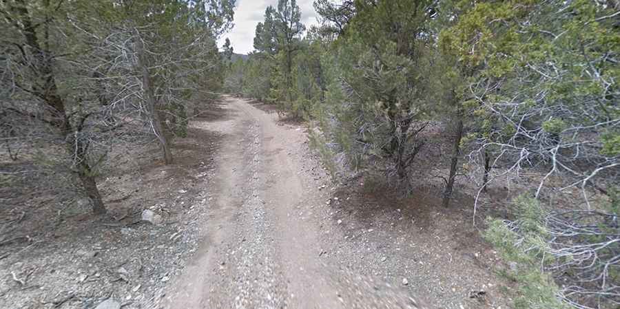 Is the road to Wheeler Pass in Nevada unpaved?