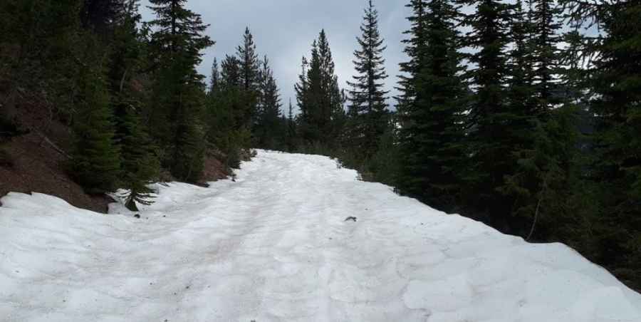 Is the road to Wolf S3 unpaved?