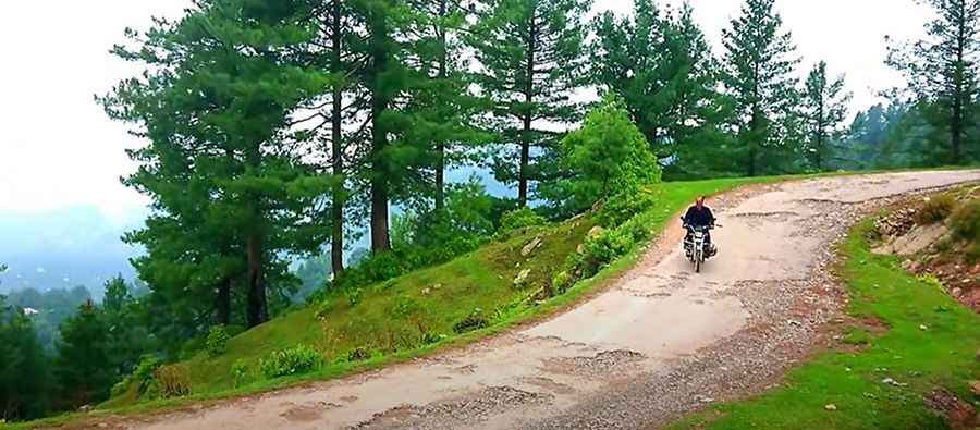 Is Toli Peer Worth It?