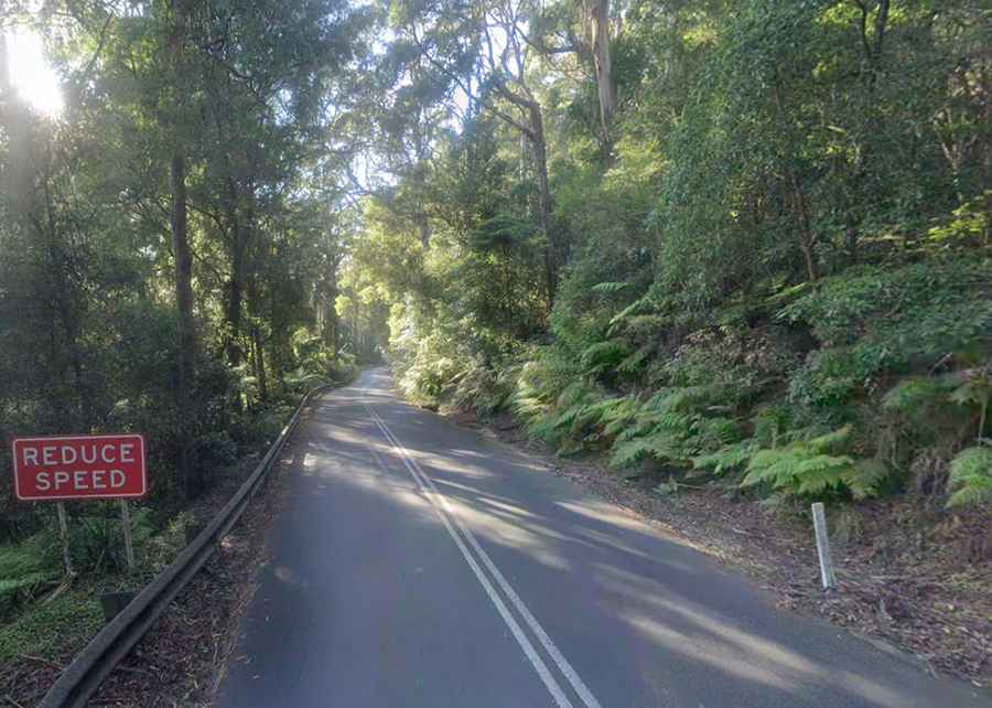 Jamberoo Mountain Road: A Revitalized Adventure in New South Wales