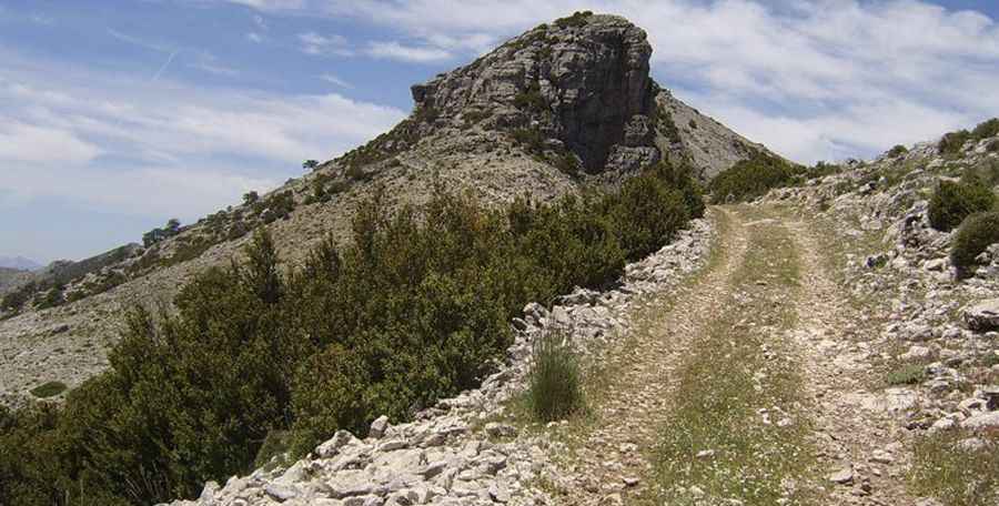 Las Banderillas, a wild road