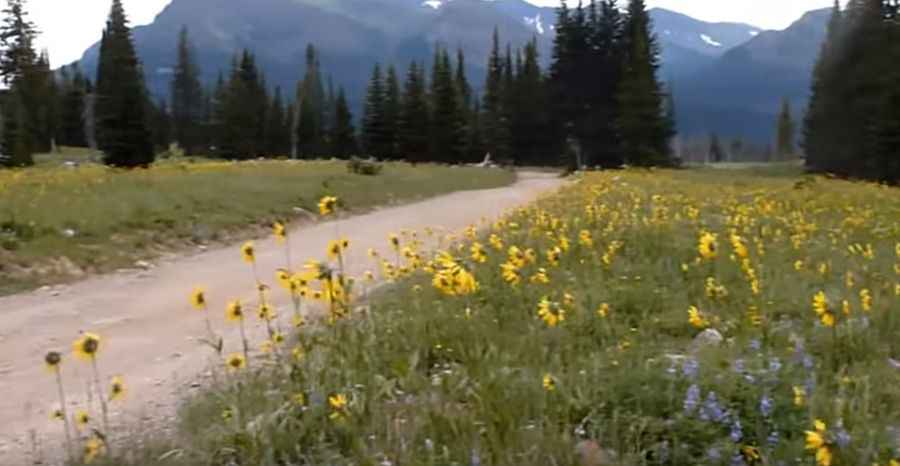 Lulu Pass in Montana is worth the white-knuckle drive