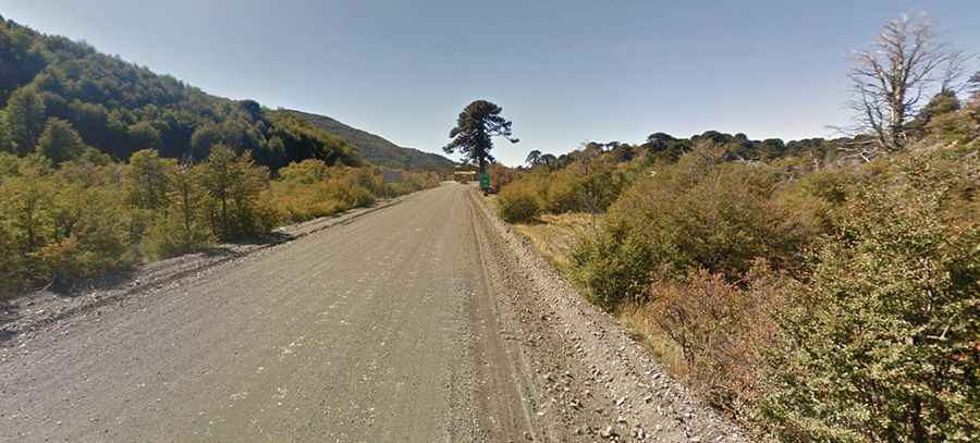 Mamuil Malal Pass: a border road in the Andes