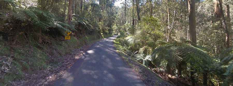 Mount Baw Baw Tourist Road is a very picturesque curvy drive