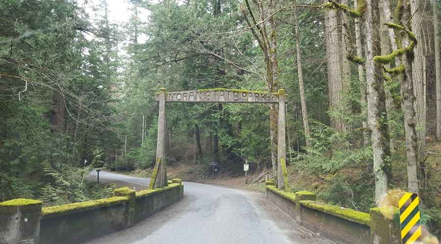 Mount Constitution is the highest road in the San Juan Islands