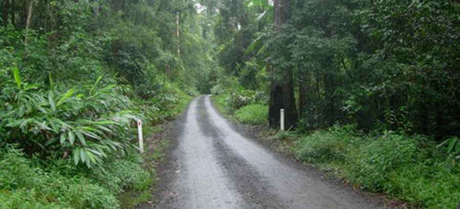 Murray Scrub Road becomes boggy when it rains