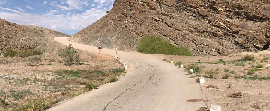 Navigating Namibia's C14 Road: Desert Adventures and Must-Know Tips