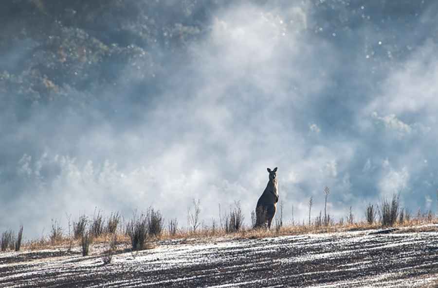 Outback Operations: Technical Logistics for Remote Australian Transit