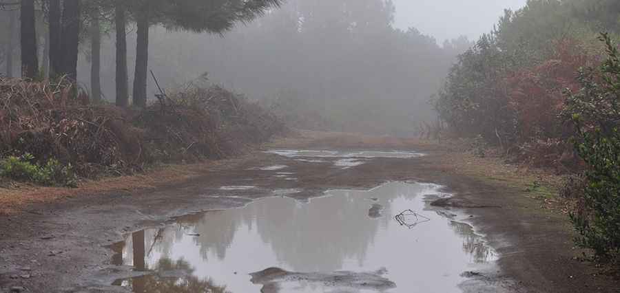 Pista Hilera de la Cumbre, a track along the Tenerife’s spine