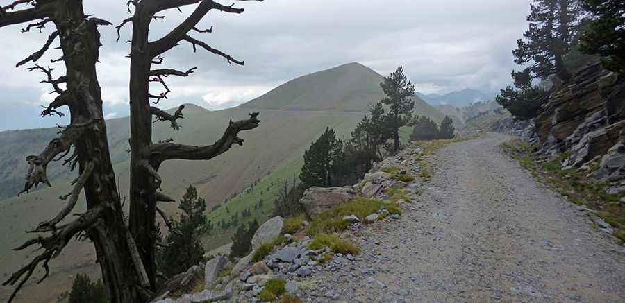 Punta Acuta, a road with gorgeous views