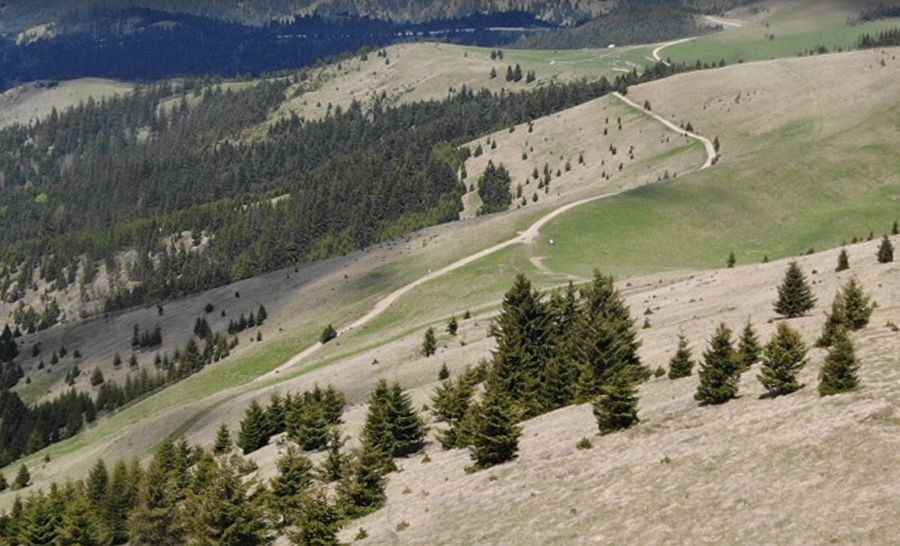 Road trip guide: Conquering Ciuc Mountain