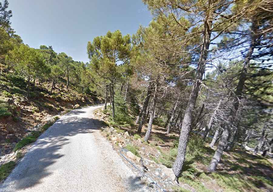 Road Trip Guide: Conquering Pico de los Reales in Andalusia