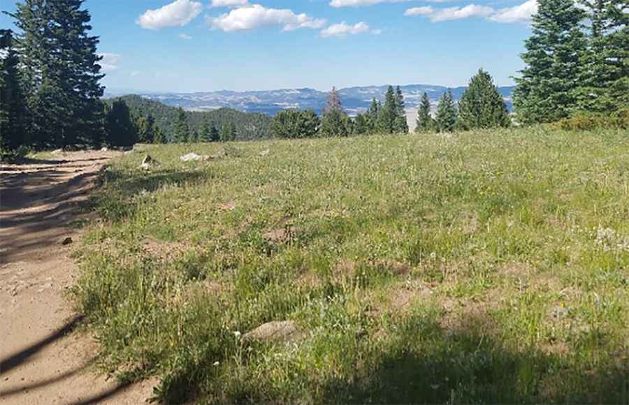 Road trip guide: Conquering the Music Pass in Colorado