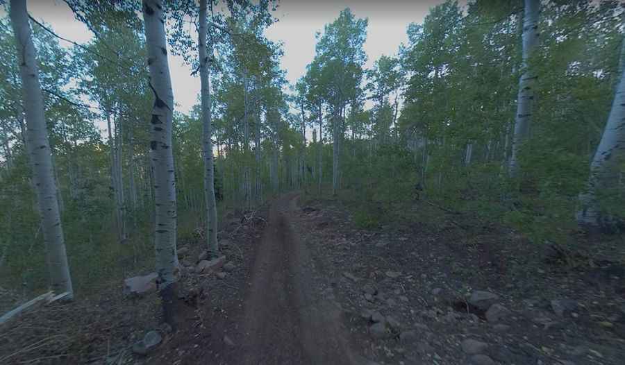 Road trip guide: Conquering the Strawberry Ridge Road in UT