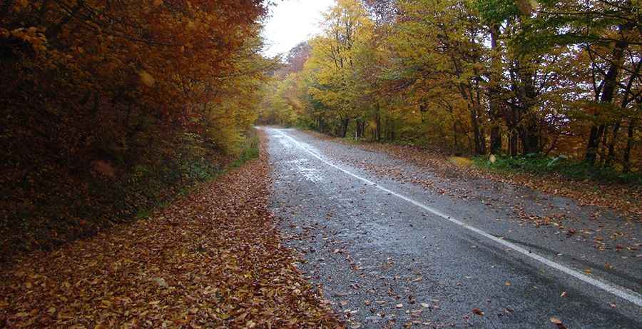 The paved road to Sabaduri Pass in the Tbilisi NP