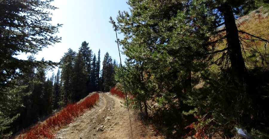 The road to Ben Harrison Peak in OR isn’t an easy one