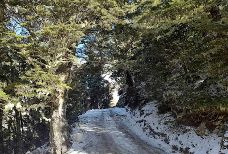 The Road to Broken River Ski Area is for the Adventurous Spirit Only