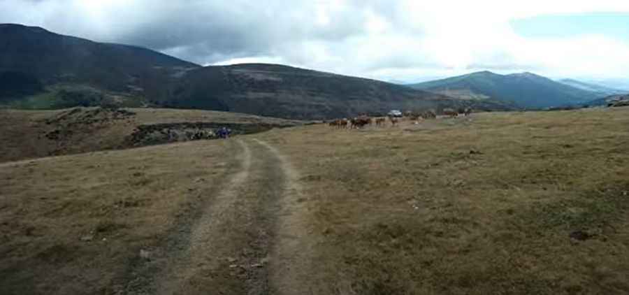 The road to Valdecebollas is not for the faint of heart