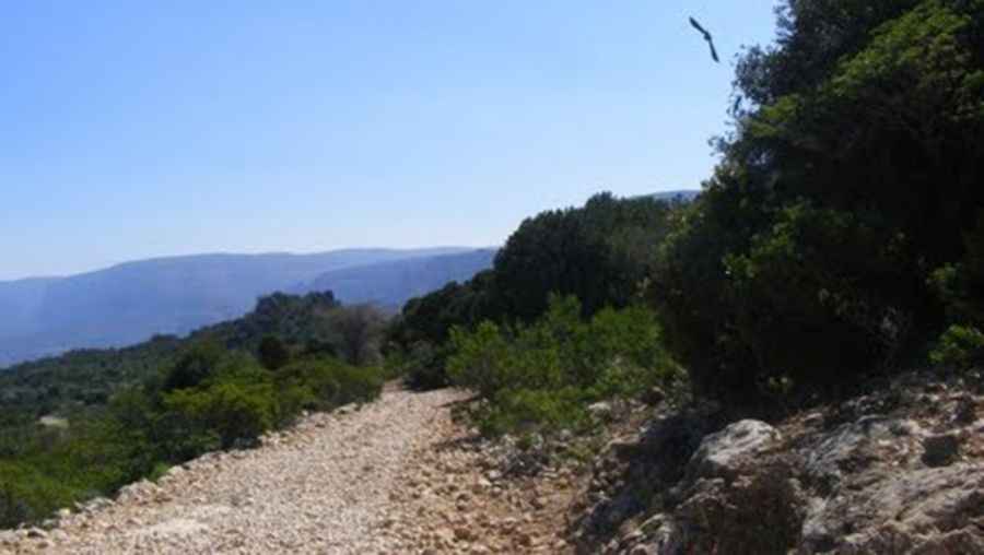 The Ultimate Guide to Traveling the Geeldora Road