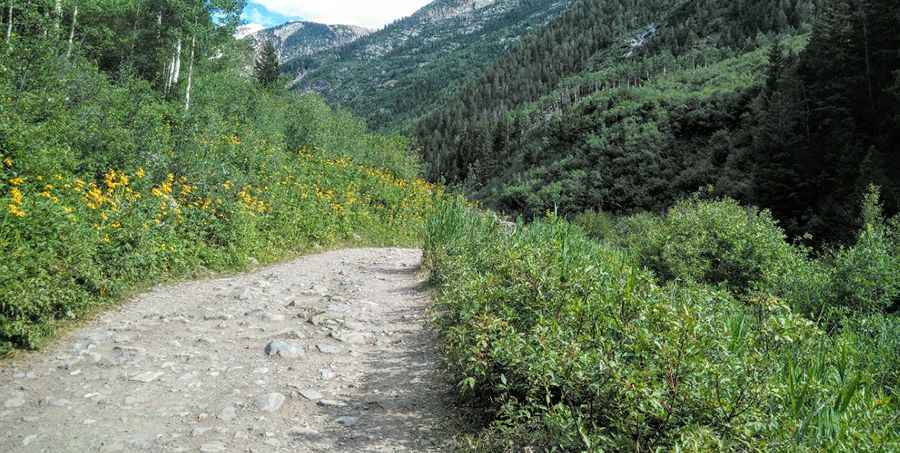 The Ultimate Road Trip To Crystal Mill in Colorado