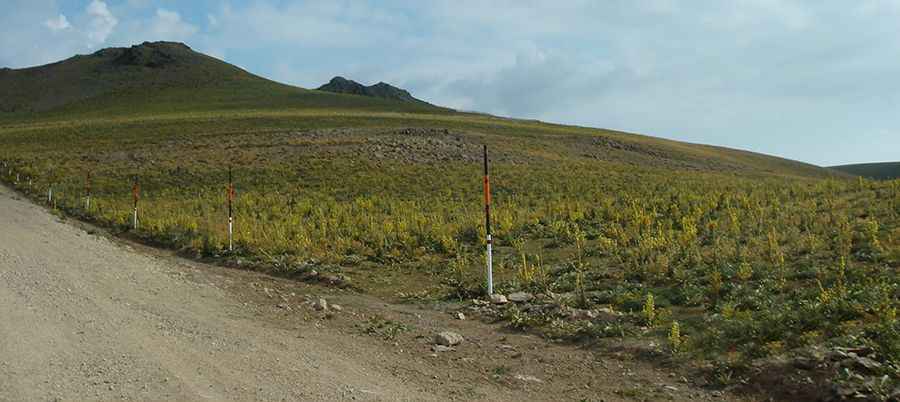 The unpaved road to the summit of Mount Yama