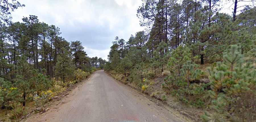 The Wild Road to El Capulin