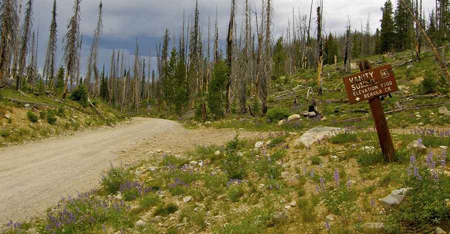 The Wild Road to Josephus Lake