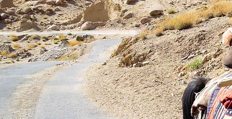 The Wild Road to Tsermangchen La