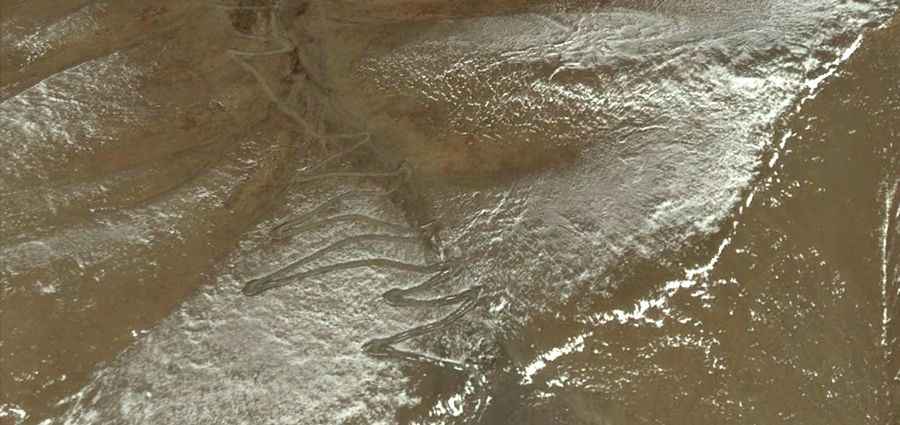 Tratsang La: 27 hairpin turns to the summit